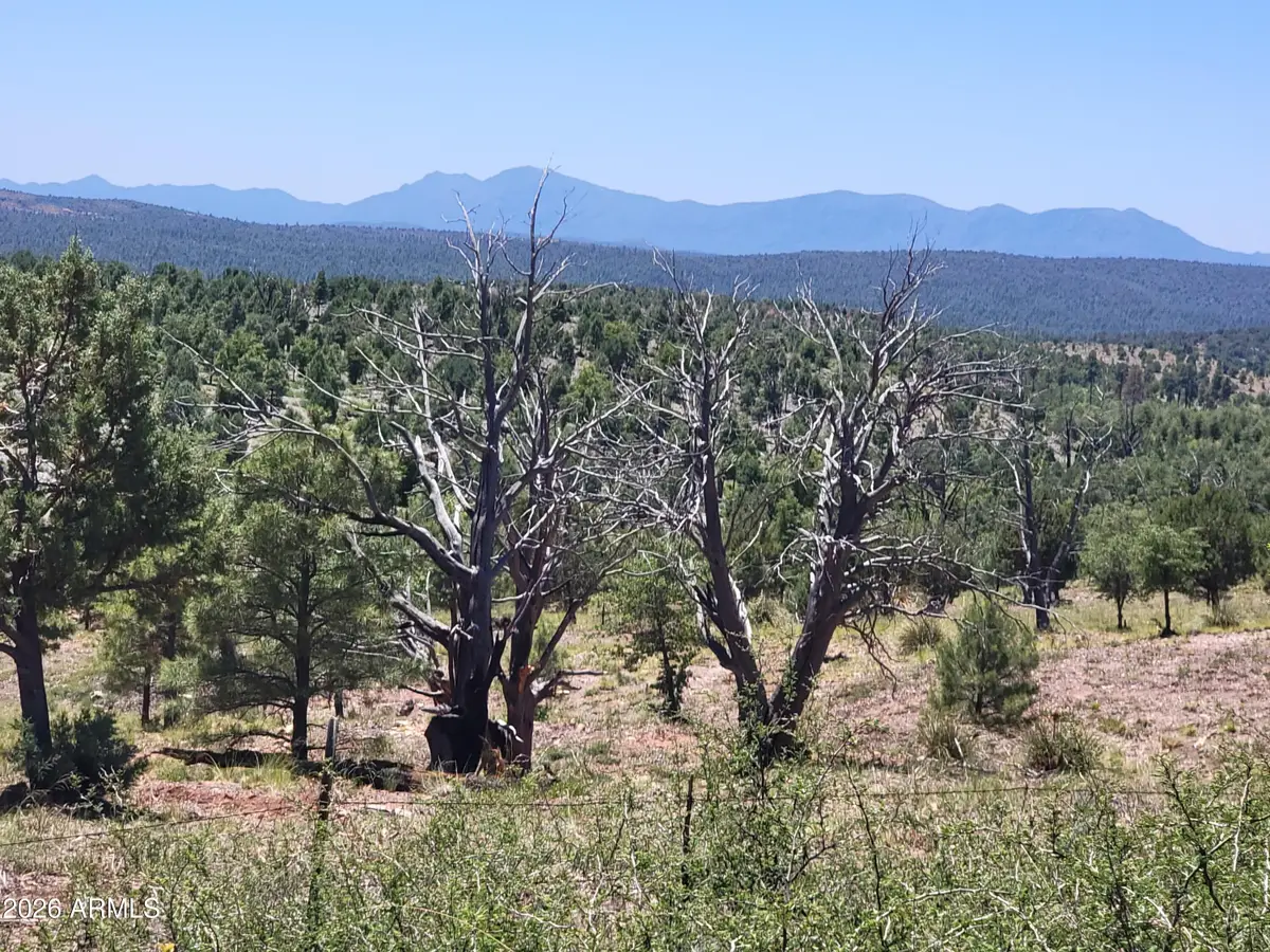41 & 42 Antelope Trail #41 & 42, Payson, AZ 85541 - #1