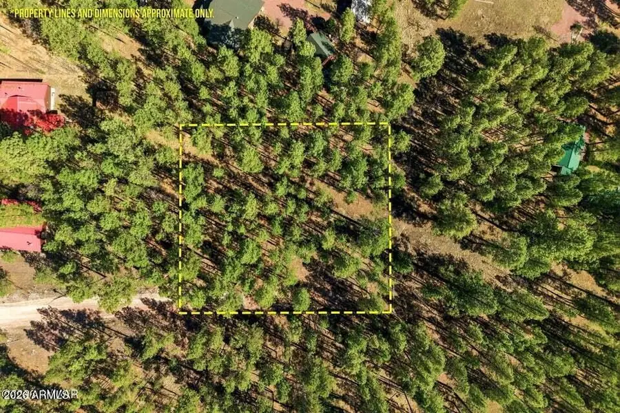 11 County Road 2135 --, Alpine, AZ 85920 - #2