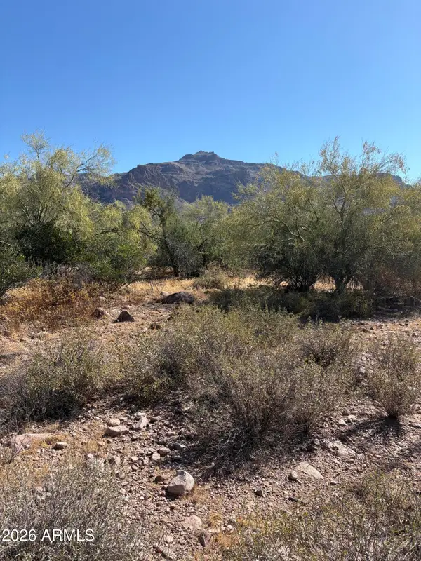 10890 E Cactus View Circle #9, Gold Canyon, AZ 85118