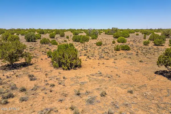TBD County Road 8643 -- #188, Concho, AZ 85924