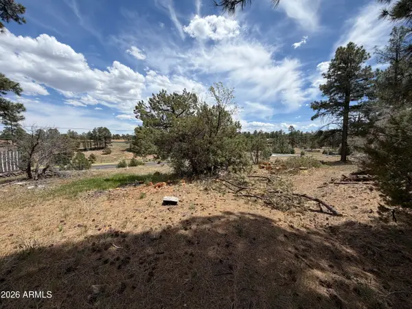 11 W Oliver -- #1, Show Low, AZ 85901