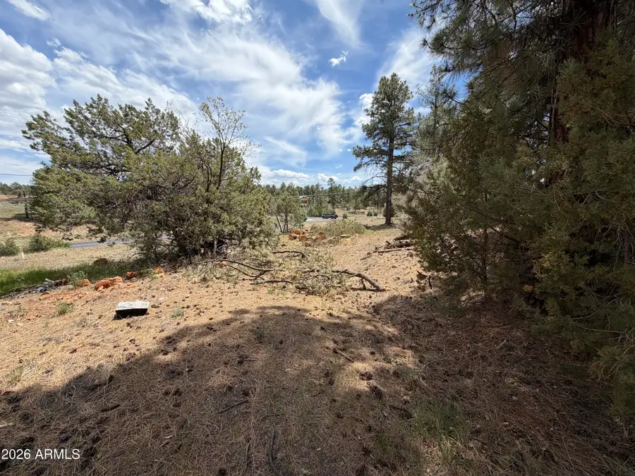 11 W Oliver -- #1, Show Low, AZ 85901 - #2