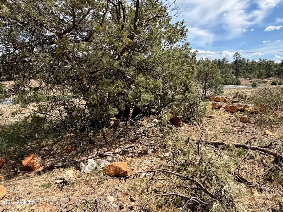 11 W Oliver -- #1, Show Low, AZ 85901 - #3