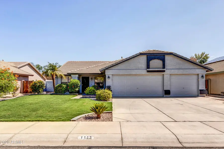 1113 E Betsy Lane, Gilbert, AZ 85296 - #2