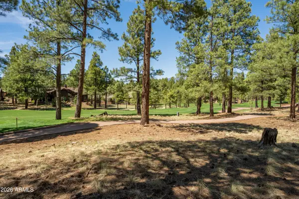 3681 S Woodland Hills Drive #363, Flagstaff, AZ 86005