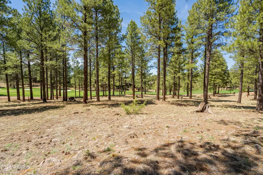 3681 S Woodland Hills Drive #363, Flagstaff, AZ 86005 - #2