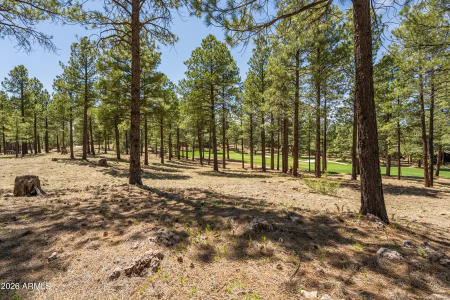 3681 S Woodland Hills Drive #363, Flagstaff, AZ 86005 - #3