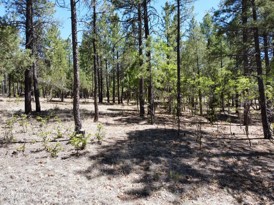 4450 Blackfoot Circle #415, Happy Jack, AZ 86024 - #3