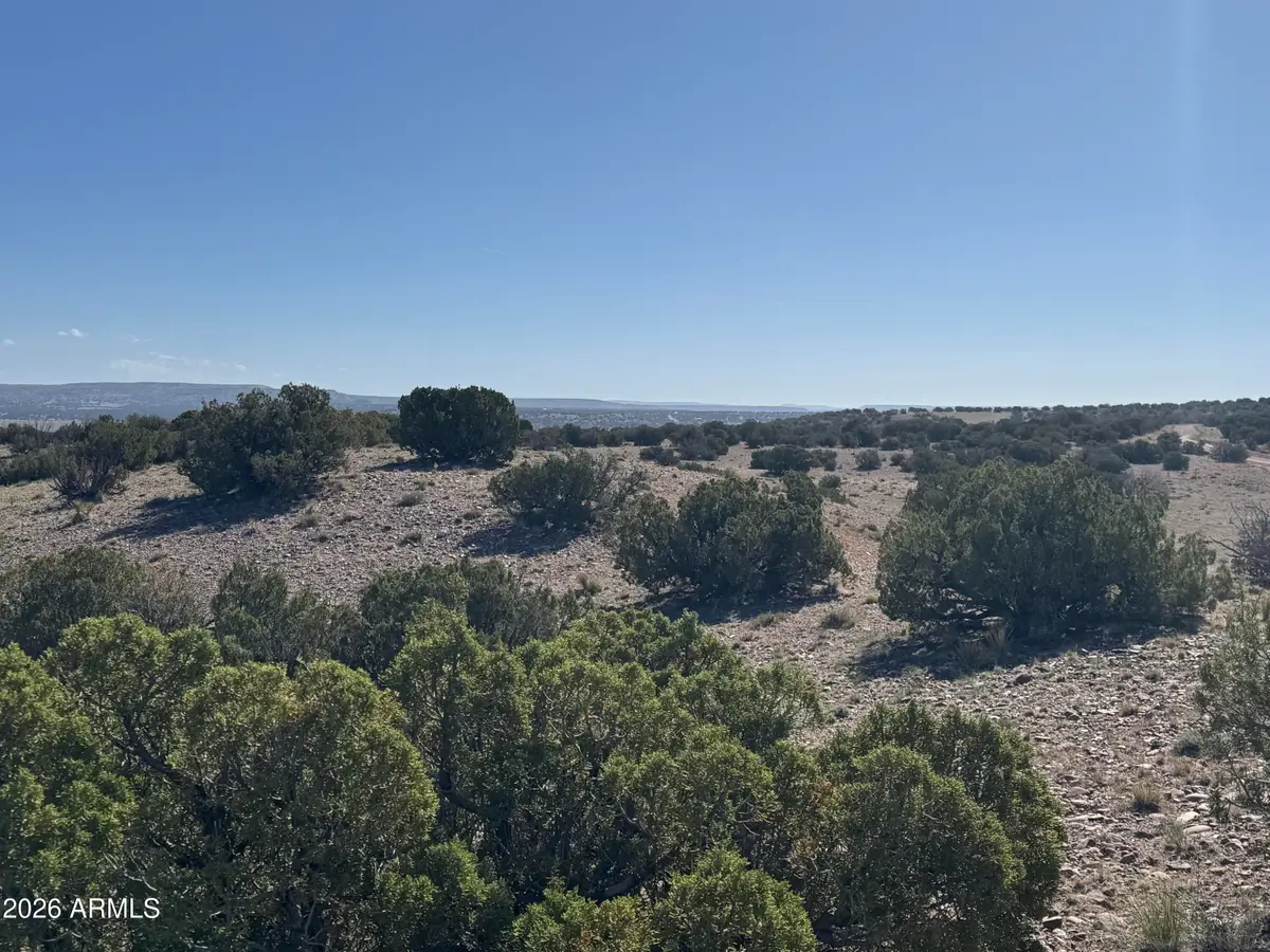 Lot 901 Woodland Valley Ranch -- #901, Saint Johns, AZ 85936 - #1