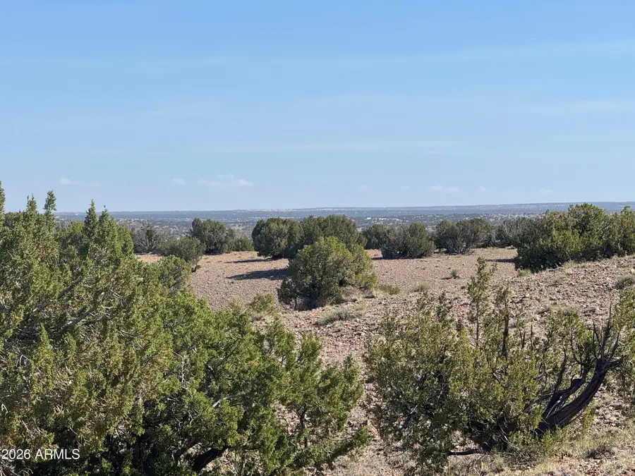 Lot 901 Woodland Valley Ranch -- #901, Saint Johns, AZ 85936 - #2
