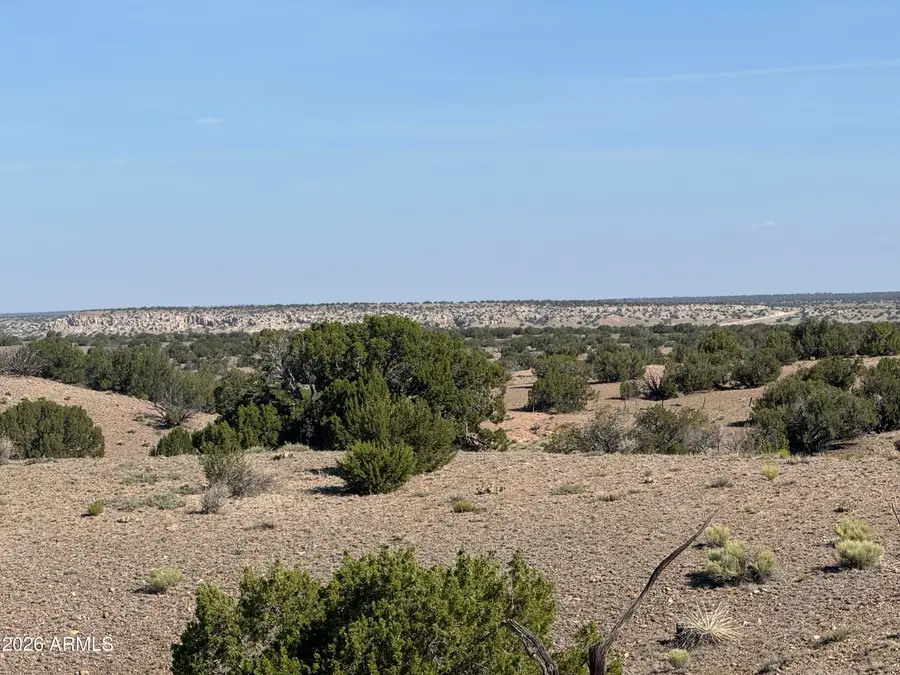 Lot 901 Woodland Valley Ranch -- #901, Saint Johns, AZ 85936 - #3