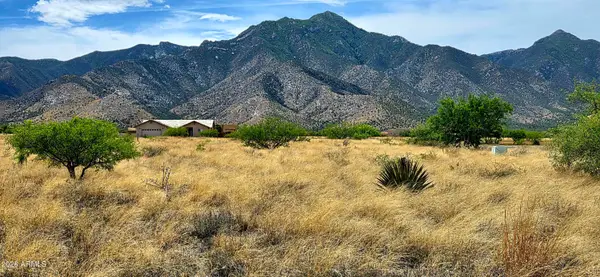 Lot 54 E Molly Drive #54, Hereford, AZ 85615