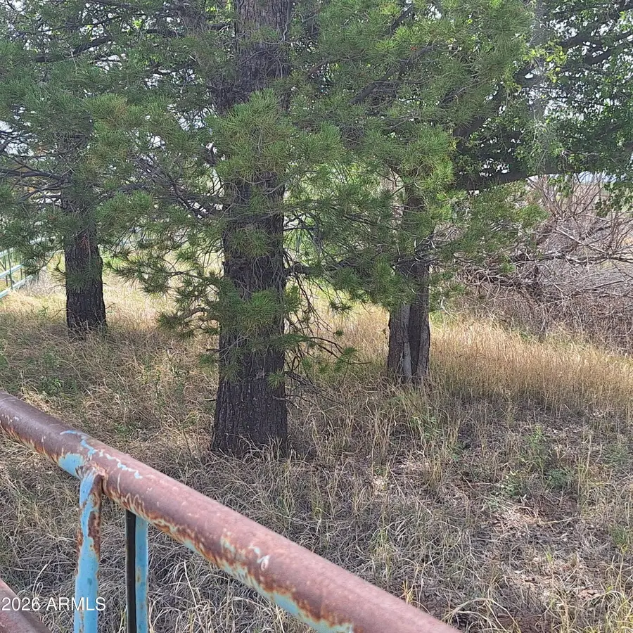 3470 W Double Adobe Road, Douglas, AZ 85607 - #3