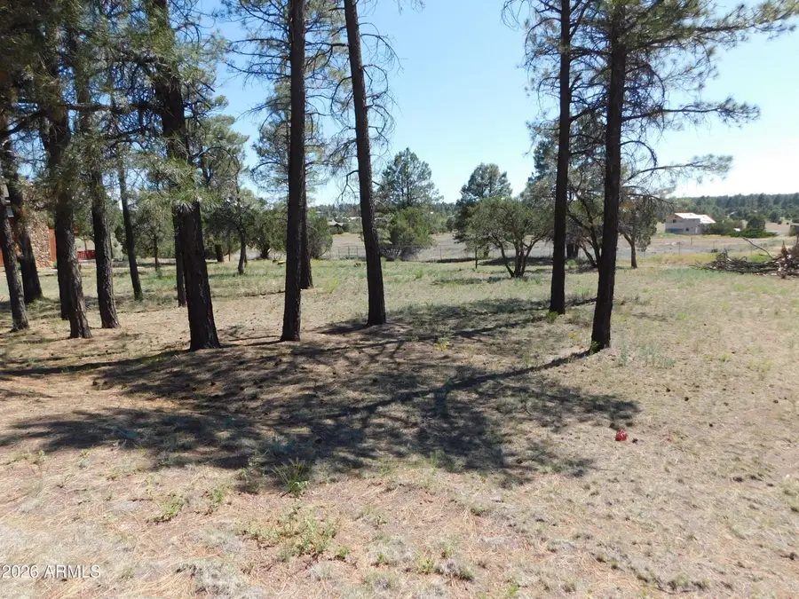 2215 Country Club Drive #12, Overgaard, AZ 85933 - #3
