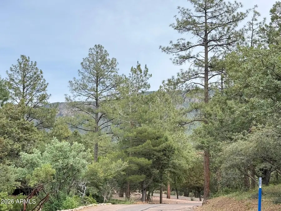 161 N Portal Drive #161, Pine, AZ 85544 - #2