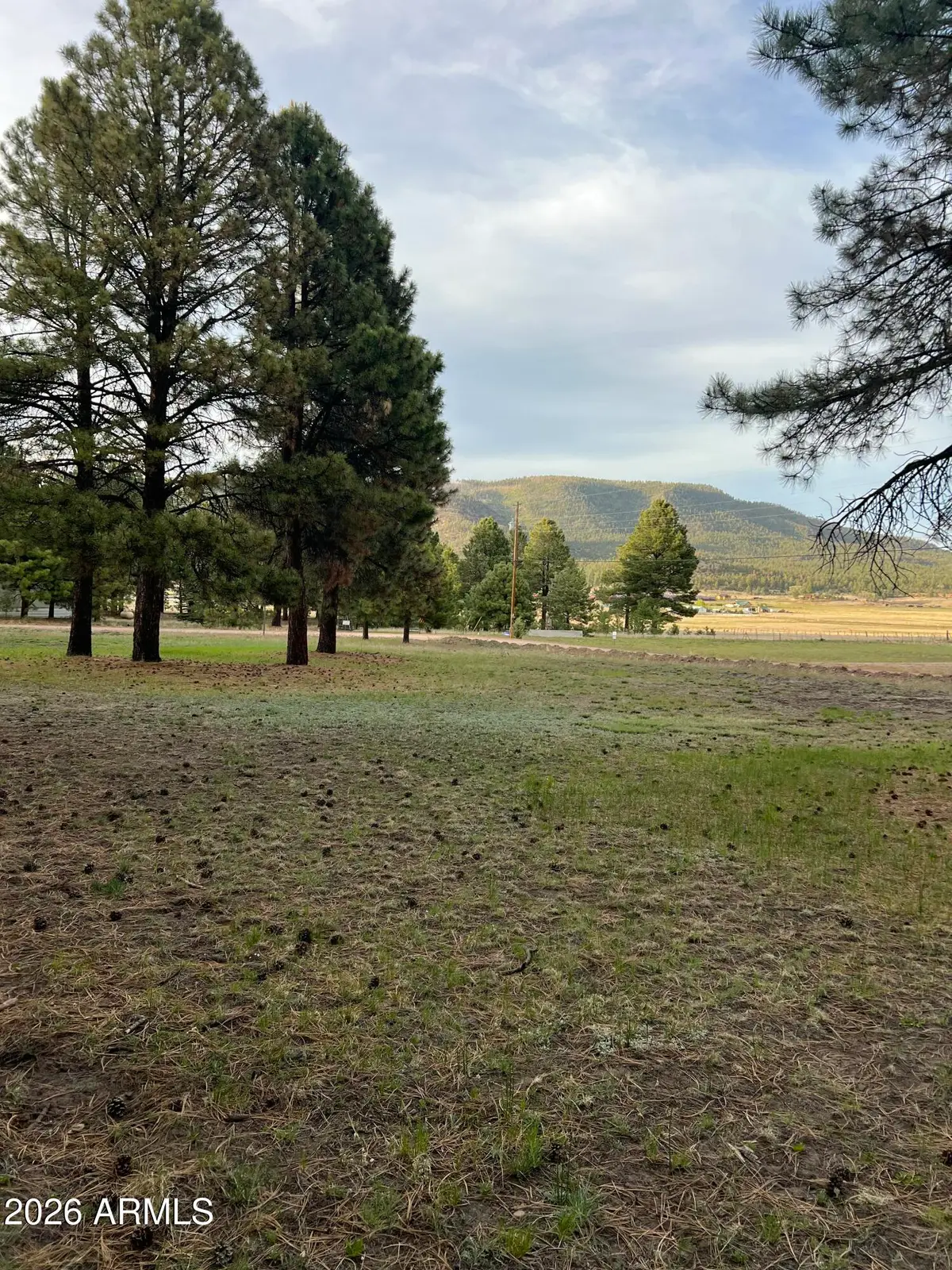 18 County Rd 2063 -- #8, Alpine, AZ 85920 - #1