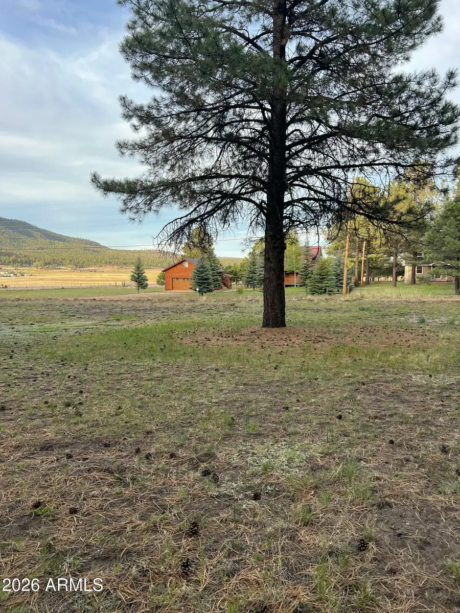 18 County Rd 2063 -- #8, Alpine, AZ 85920 - #3
