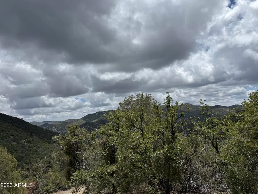 22406 S Eagle Mine Road, Crown King, AZ 86343 - #2