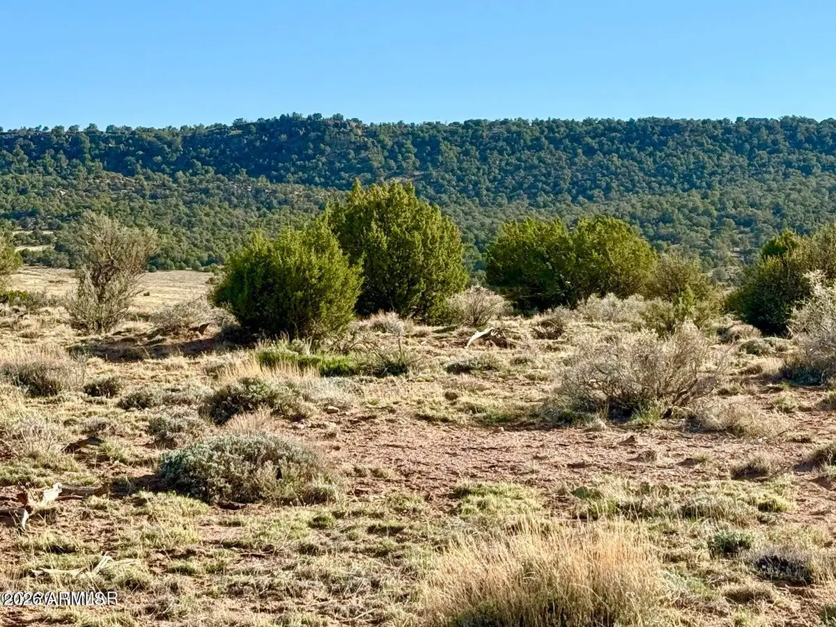 85 Co Rd 8500 Acres --, Concho, AZ 85924 - #1