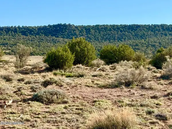 85 Co Rd 8500 Acres --, Concho, AZ 85924