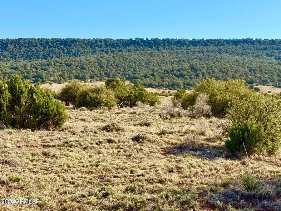 85 Co Rd 8500 Acres --, Concho, AZ 85924 - #3