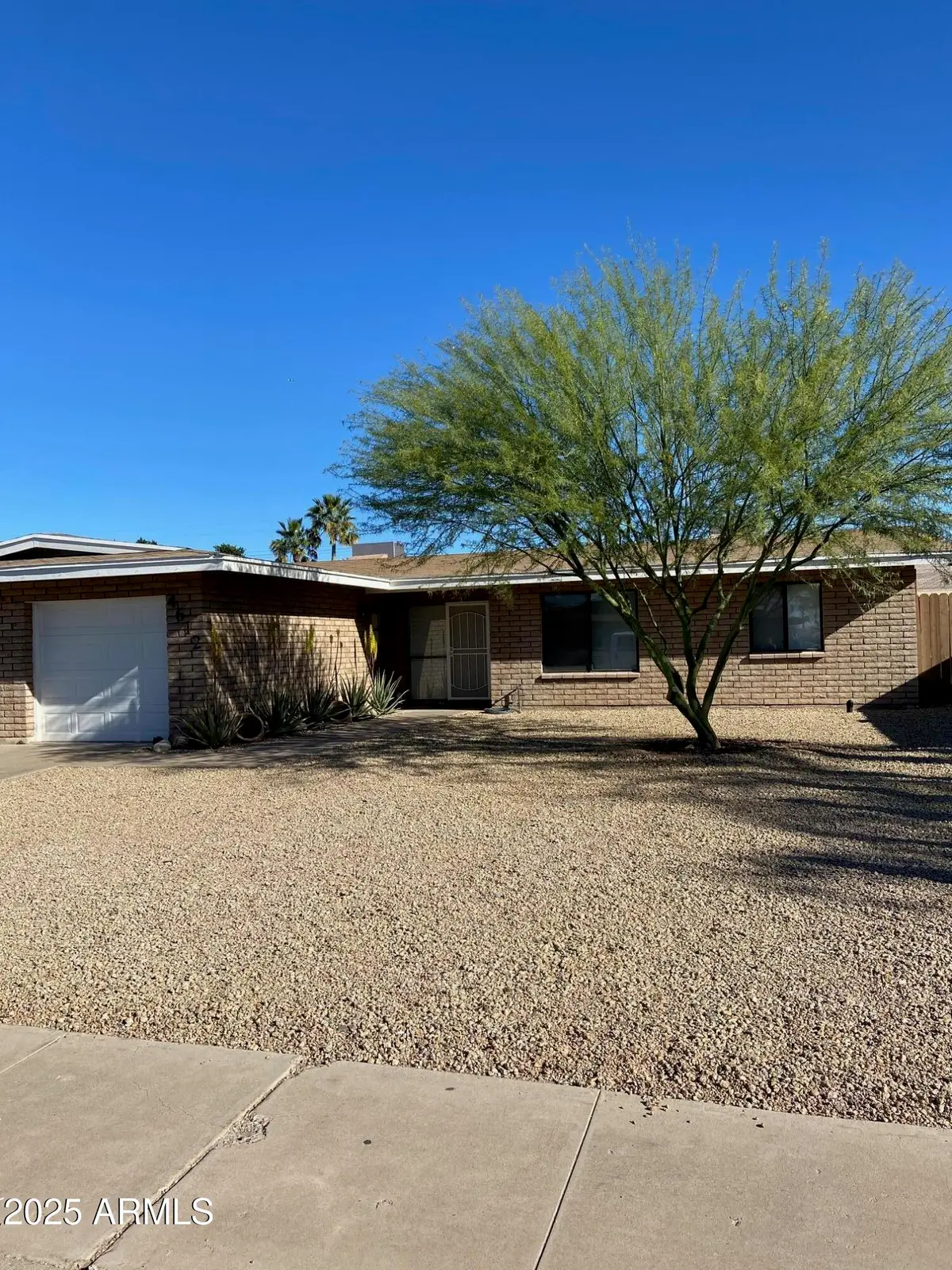 4612 E Camino Street, Mesa, AZ 85205 - #1