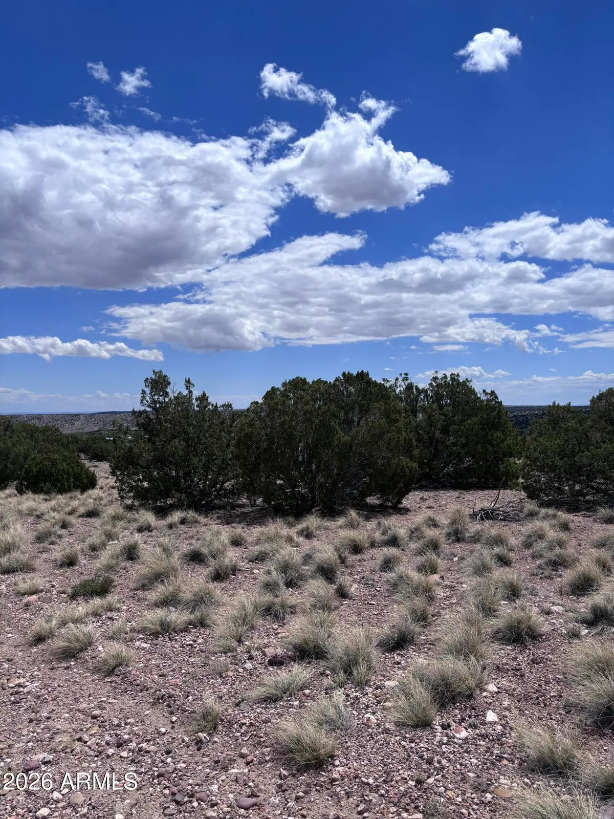 71 Gila Drive #1, Concho, AZ 85924 - #1