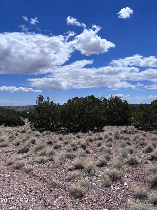 71 Gila Drive #1, Concho, AZ 85924