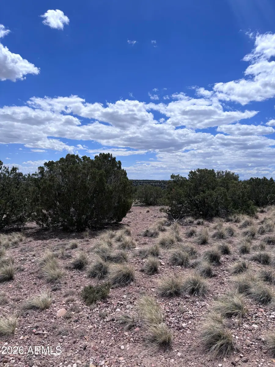 71 Gila Drive #1, Concho, AZ 85924 - #3