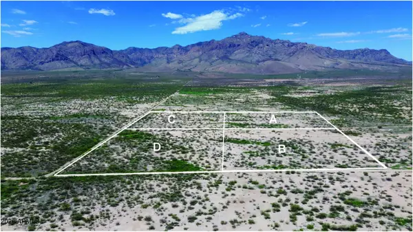 10.8 AC Hannah Lane #D, Portal, AZ 85632