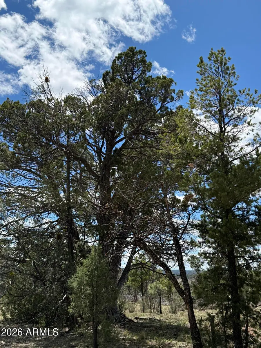 1226 Green Ridge Drive #80, Happy Jack, AZ 86024 - #3