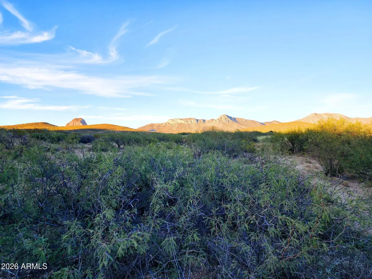 45400 E Painted Sky Drive, Florence, AZ 85132 - #1