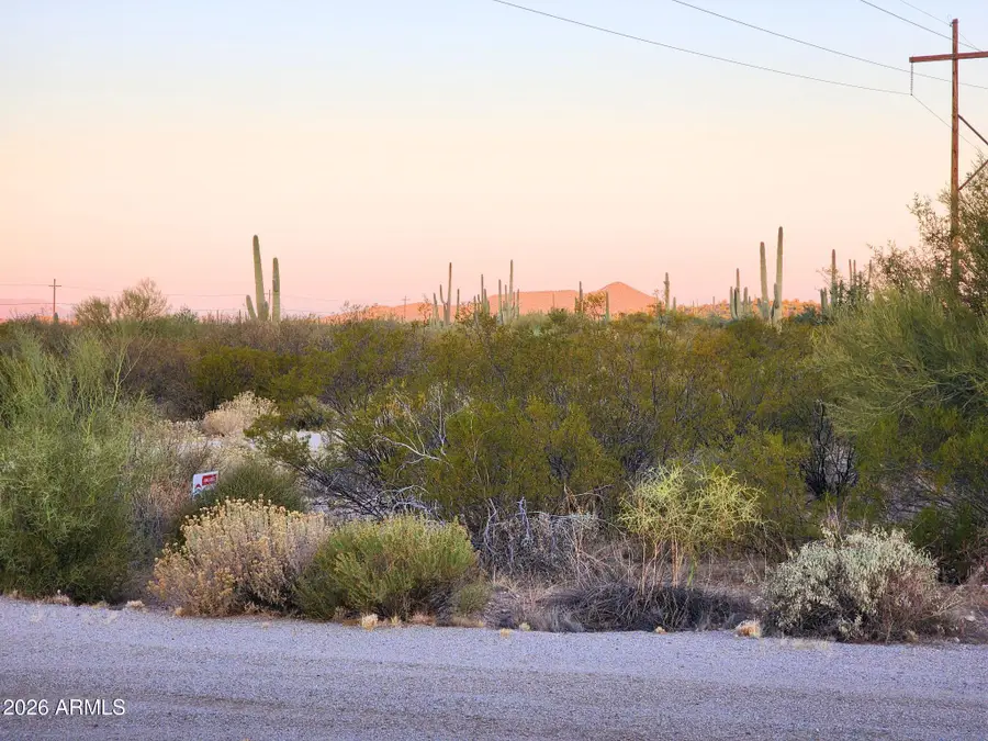 45400 E Painted Sky Drive, Florence, AZ 85132 - #3