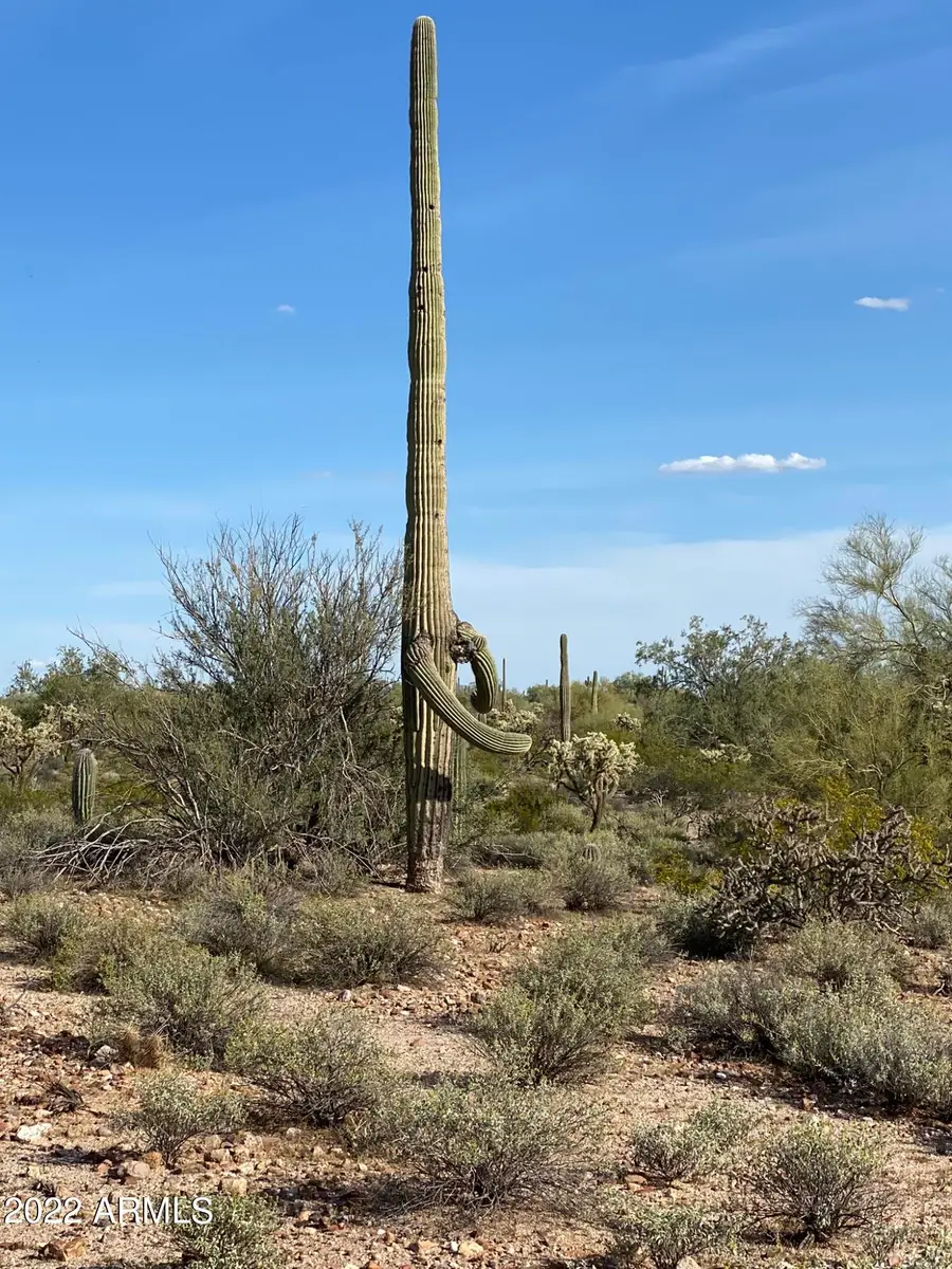 0 N Hexcel Road #A, Florence, AZ 85132 - #3