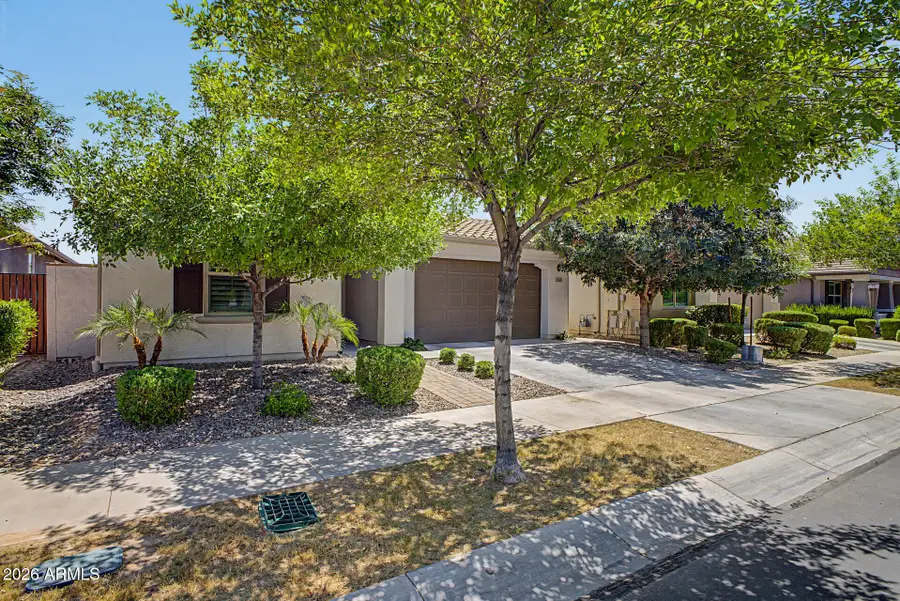9919 E Thornbush Avenue, Mesa, AZ 85212 - #2