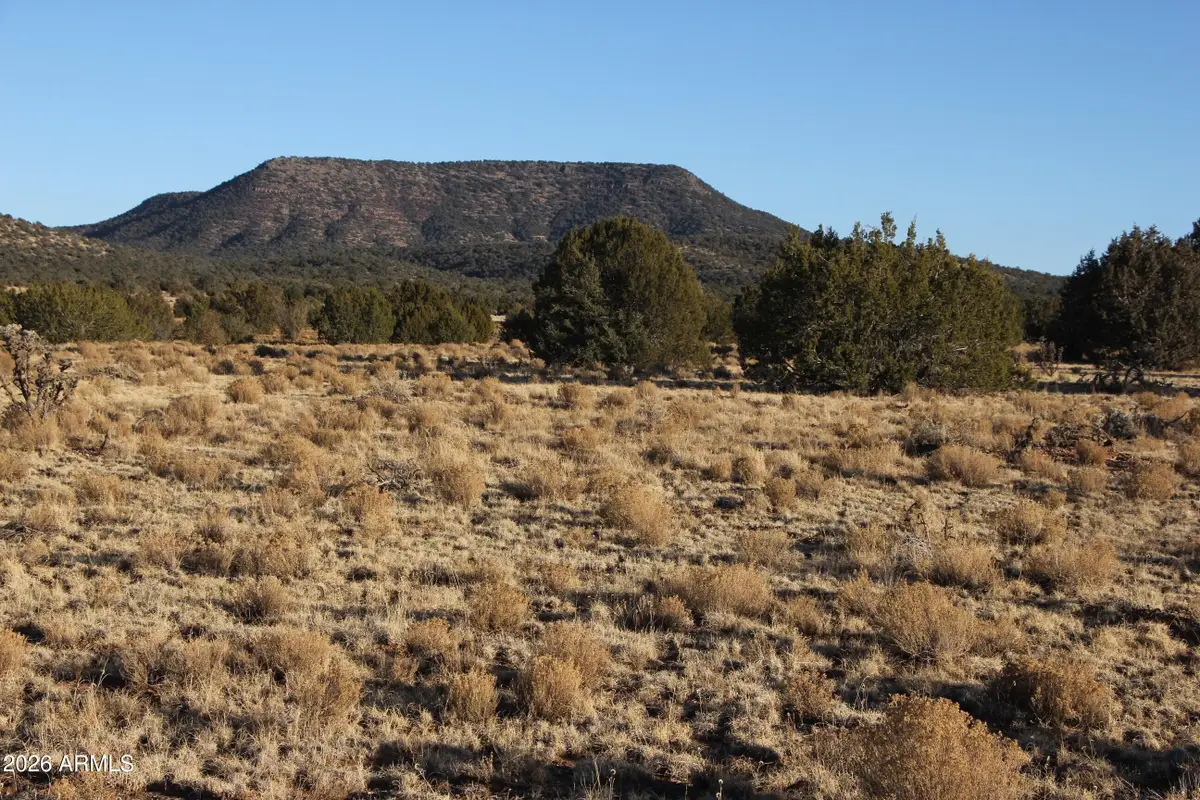 Wrangler R Wrangler Ridge Rd -- #301118203, Seligman, AZ 86337 - #1