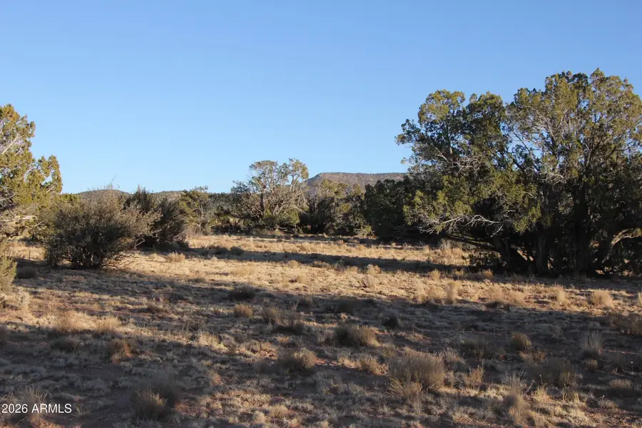 Wrangler R Wrangler Ridge Rd -- #301118203, Seligman, AZ 86337 - #2