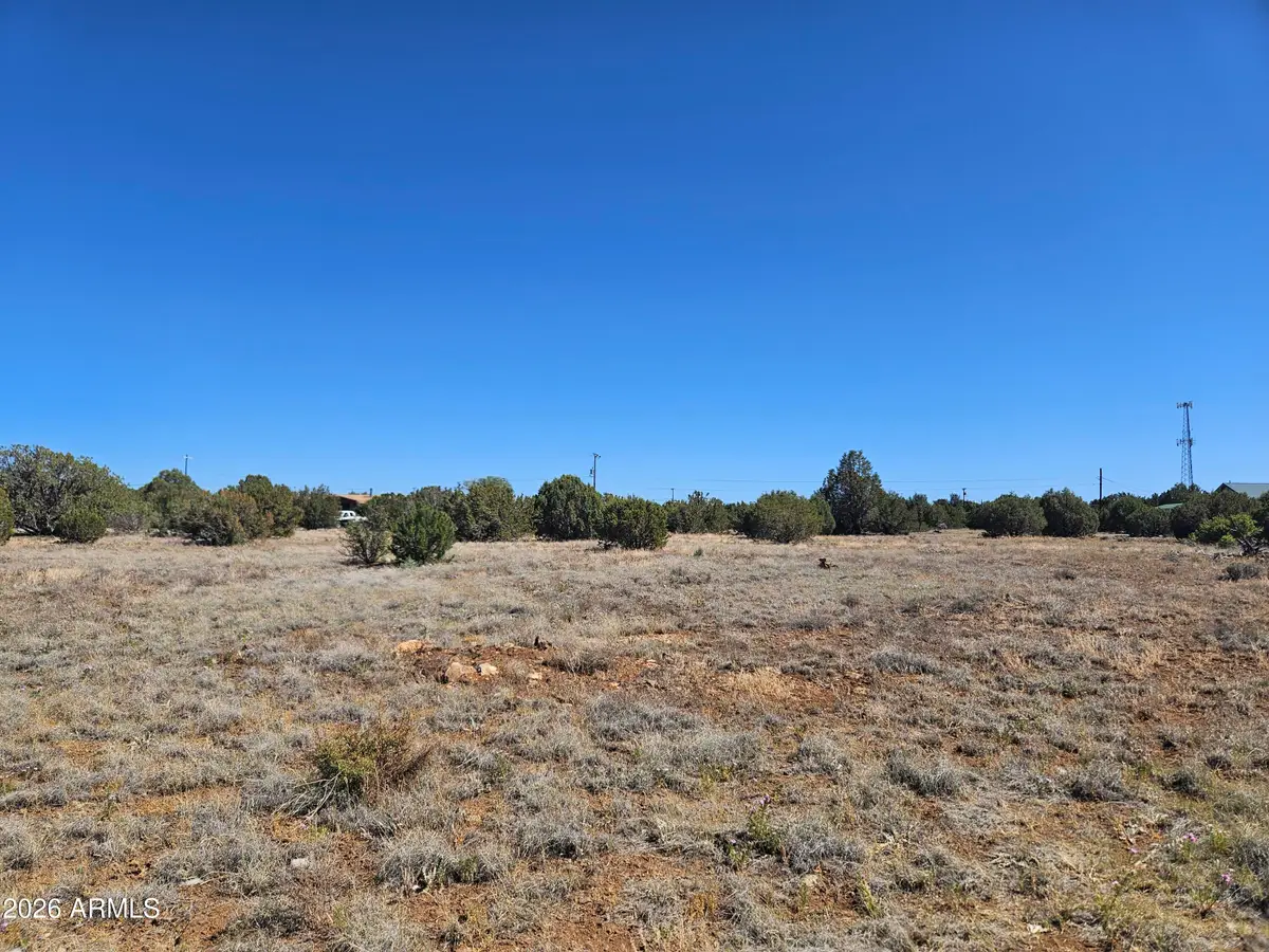 8423 Navajo Drive, Show Low, AZ 85901 - #1