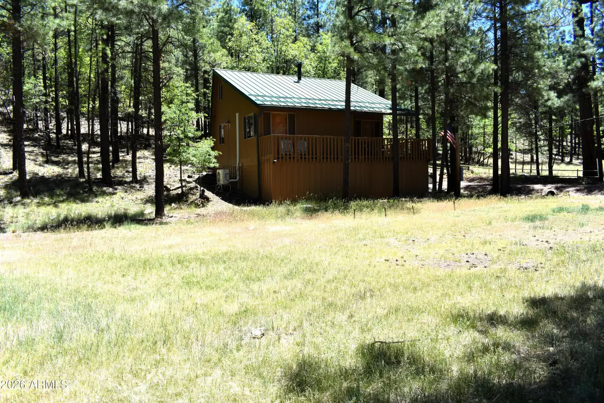 2509 Deer Ridge Drive, Happy Jack, AZ 86024 - #1
