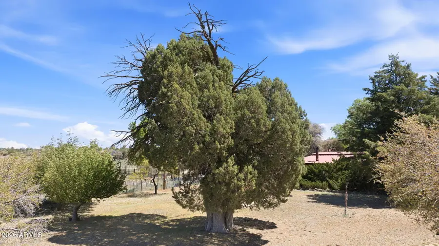 10262 W Tough Country Trail, Skull Valley, AZ 86338 - #3