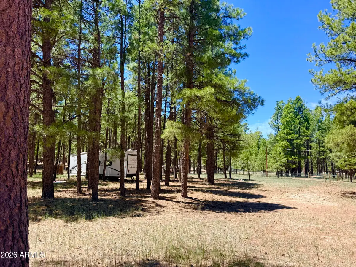 2378 Blue Ridge Drive #479, Happy Jack, AZ 86024 - #1