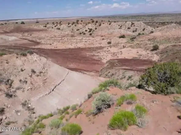 TBD 210-06-005 And 206-51-136 -- #005, Chambers, AZ 86502