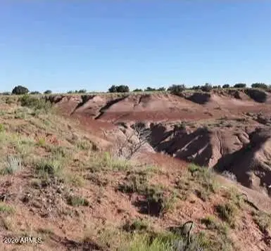 TBD 210-06-005 And 206-51-136 -- #005, Chambers, AZ 86502 - #2