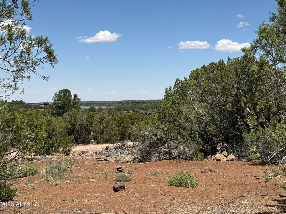 1885 Daggs Street #38, Show Low, AZ 85901 - #1