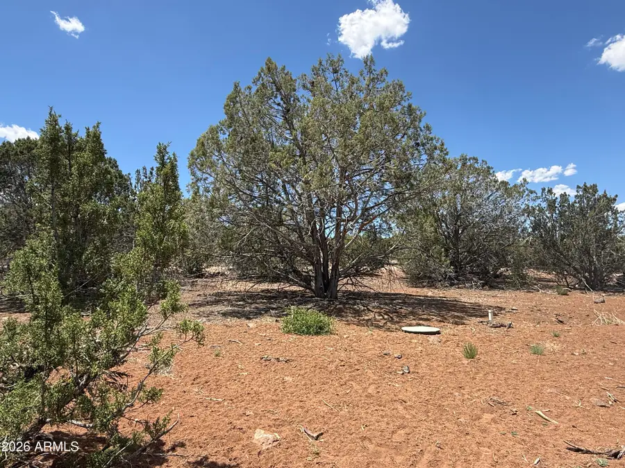 1885 Daggs Street #38, Show Low, AZ 85901 - #2