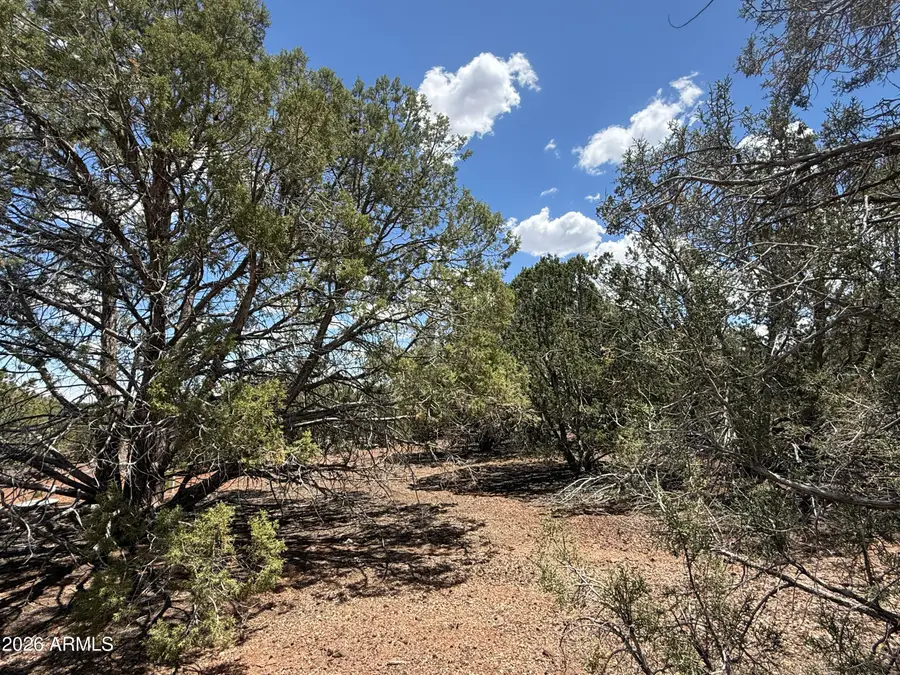 1885 Daggs Street #38, Show Low, AZ 85901 - #3