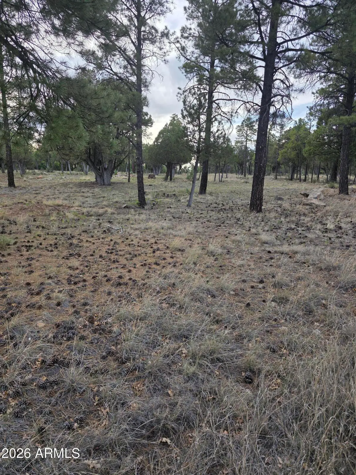 2584 Arapaho Drive #600, Happy Jack, AZ 86024 - #1