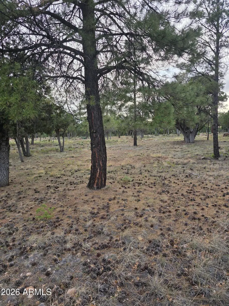 2584 Arapaho Drive #600, Happy Jack, AZ 86024 - #3