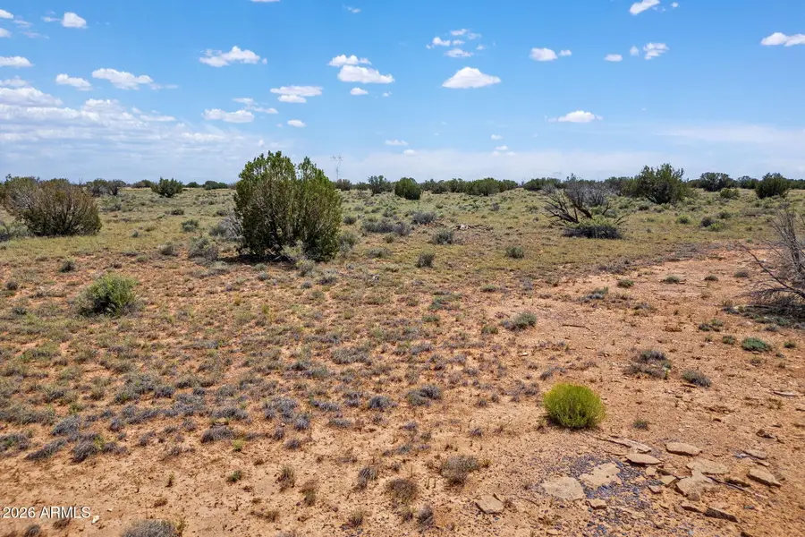 5939 Mesa View Drive #137, Heber, AZ 85928 - #3