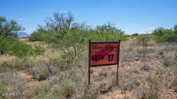 TBD S Xxx Coatimundi Drive #17, Hereford, AZ 85615 - #1